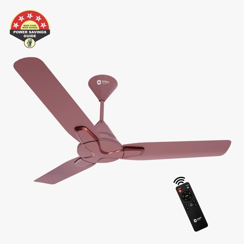 ORIENT 48" JAZZ BLDC REMOTE CONTROL CEILING FAN ( ASH ROSE )