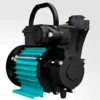 HAVELLS ZINNIA 1PLUS 1HP MONOBLOCK PUMP