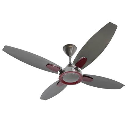 USHA 1300MM BLOOM LILY 4 BLADE ANTI DUST