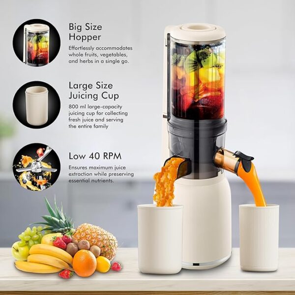 HAVELLS NUTRI PURE SOLO JUICER 105W