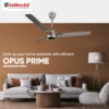 Goldmedal Opus Prime 48" Bldc Fan